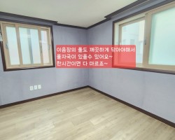 교동 1.5룸, 장폭 합지